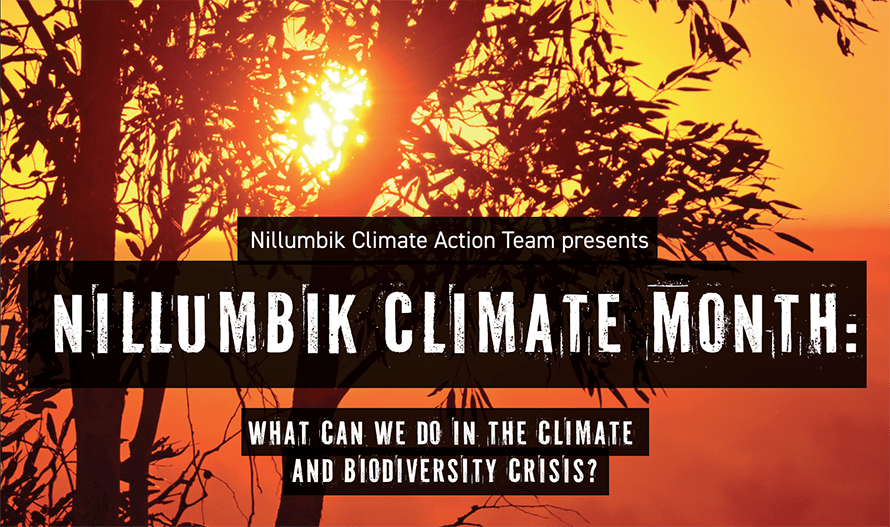 Image of hot sun through dark tree. Nillumbik Climate Month: What can we do in the climate and biodiverity crisis?